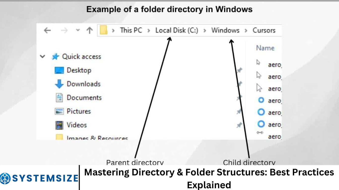 Mastering Directory & Folder Structures: Best Practices Explained